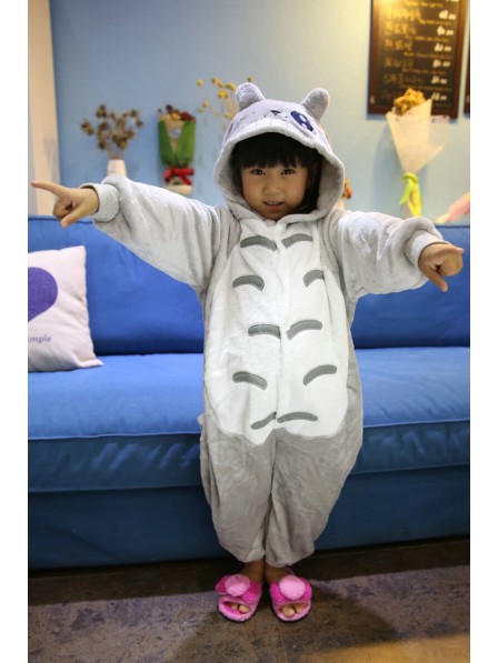 Totoro Onesie Kigurumi Pyjamas Kids Tier Kostüme Für Jugend